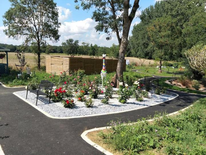 Studio Du Daudou Piscine Jacuzzi Partages Septfonds Kültér fotó