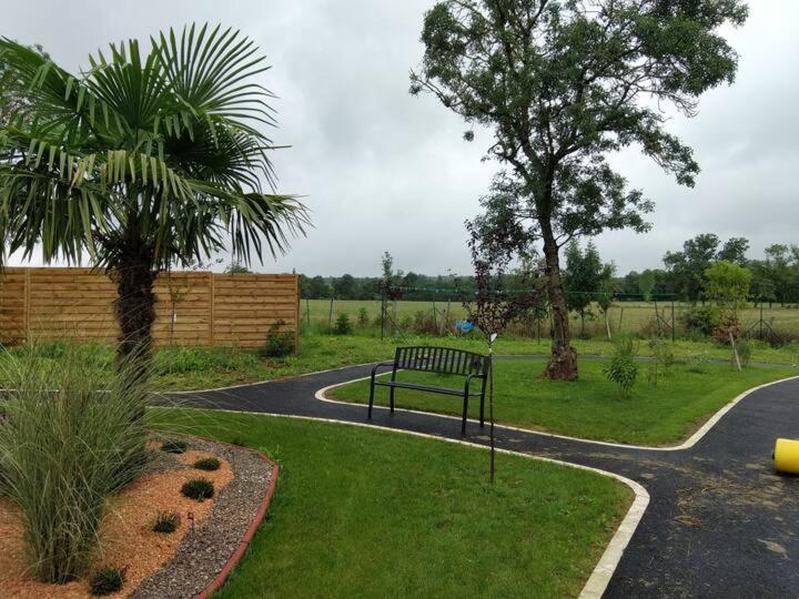 Studio Du Daudou Piscine Jacuzzi Partages Septfonds Kültér fotó